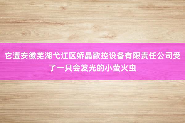 它遭安徽芜湖弋江区娇晶数控设备有限责任公司受了一只会发光的小萤火虫